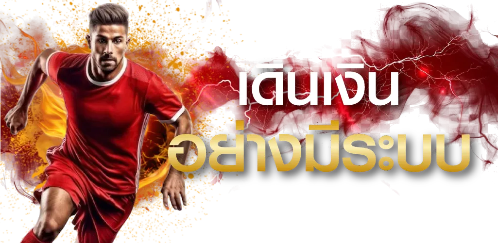 เดินเงินอย่างมีระบบ